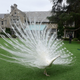 Buy the Playboy mansion for feminism, rich ladies!